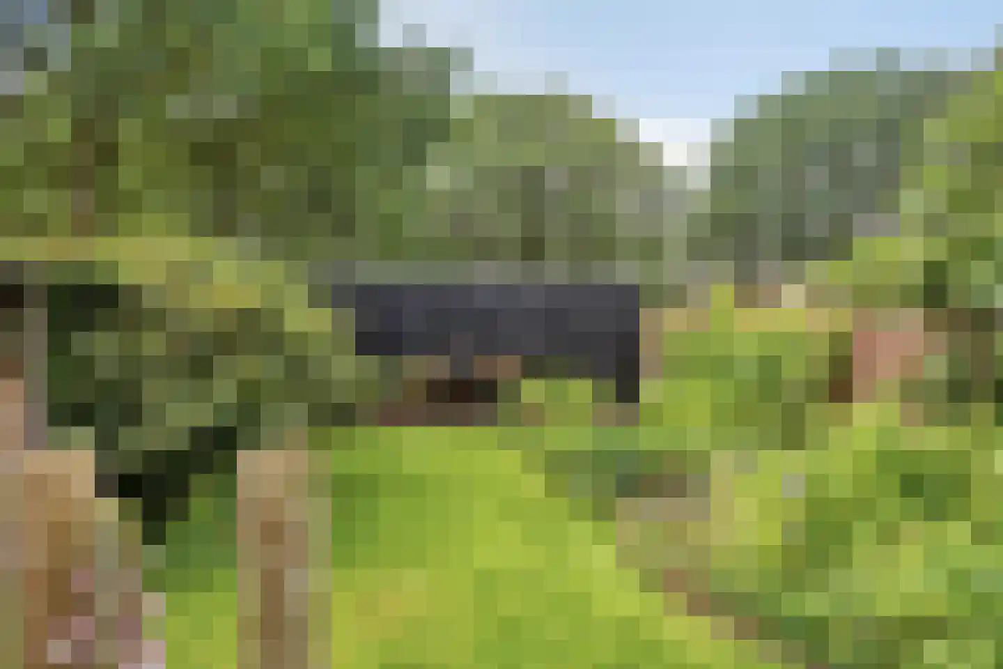 Ruinerweg 26 a Koekange thumbnail 53