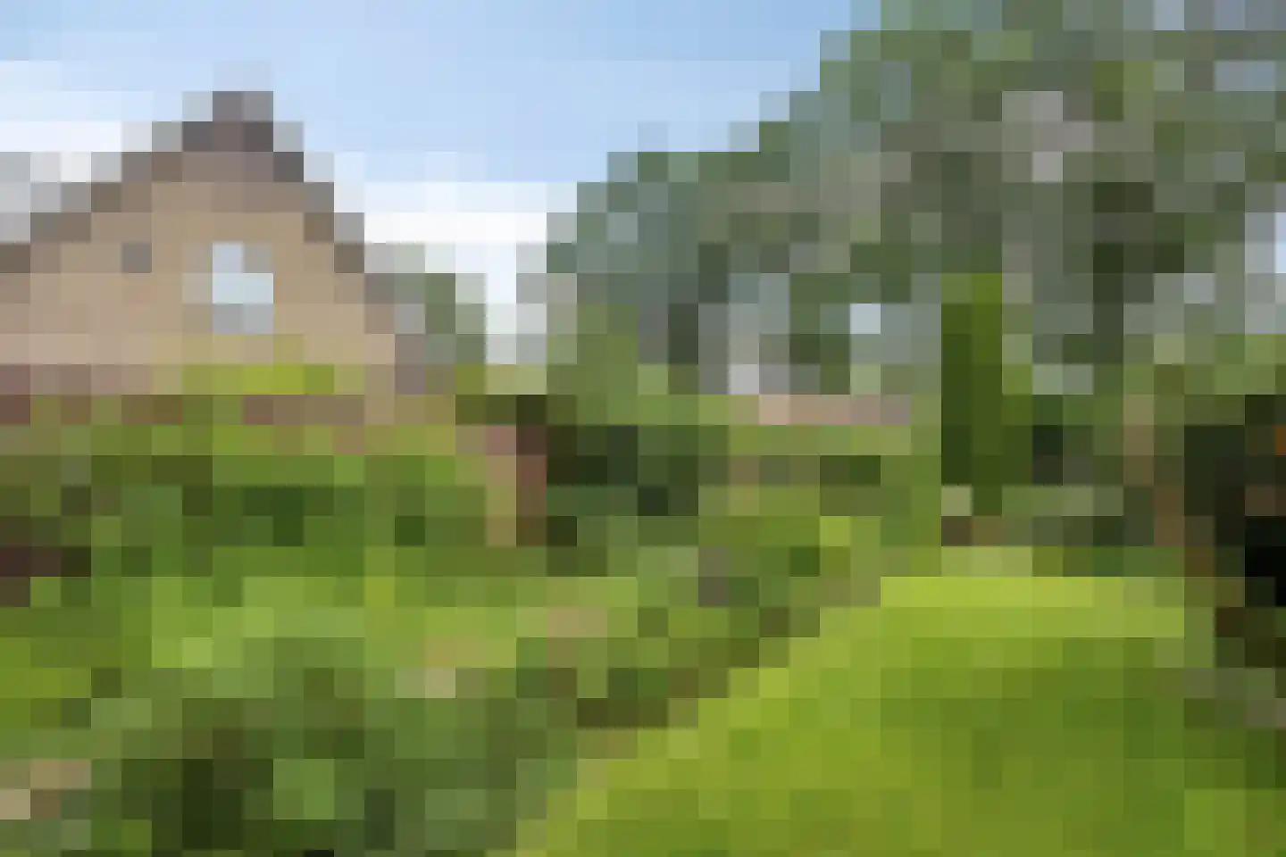 Ruinerweg 26 a Koekange thumbnail 55