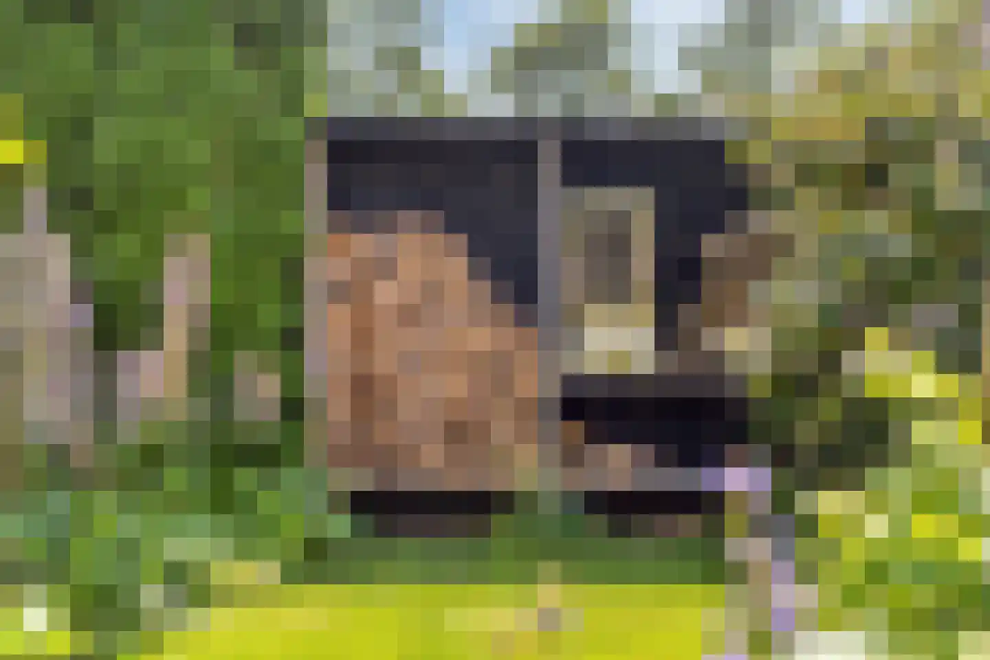 Ruinerweg 26 a Koekange thumbnail 56