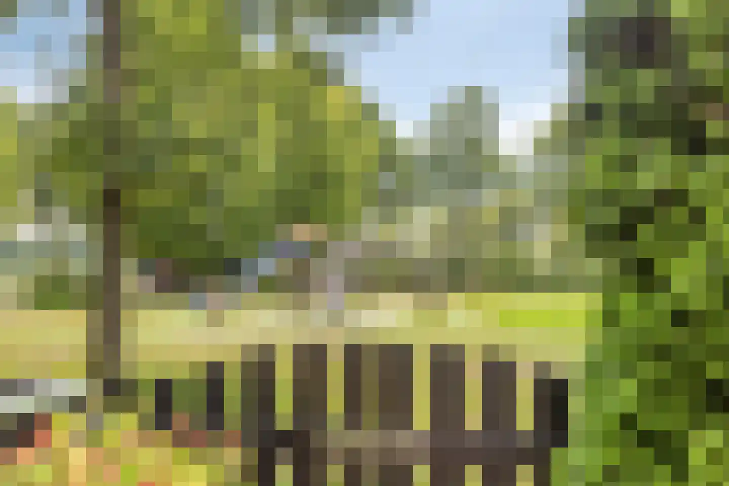 Ruinerweg 26 a Koekange thumbnail 57
