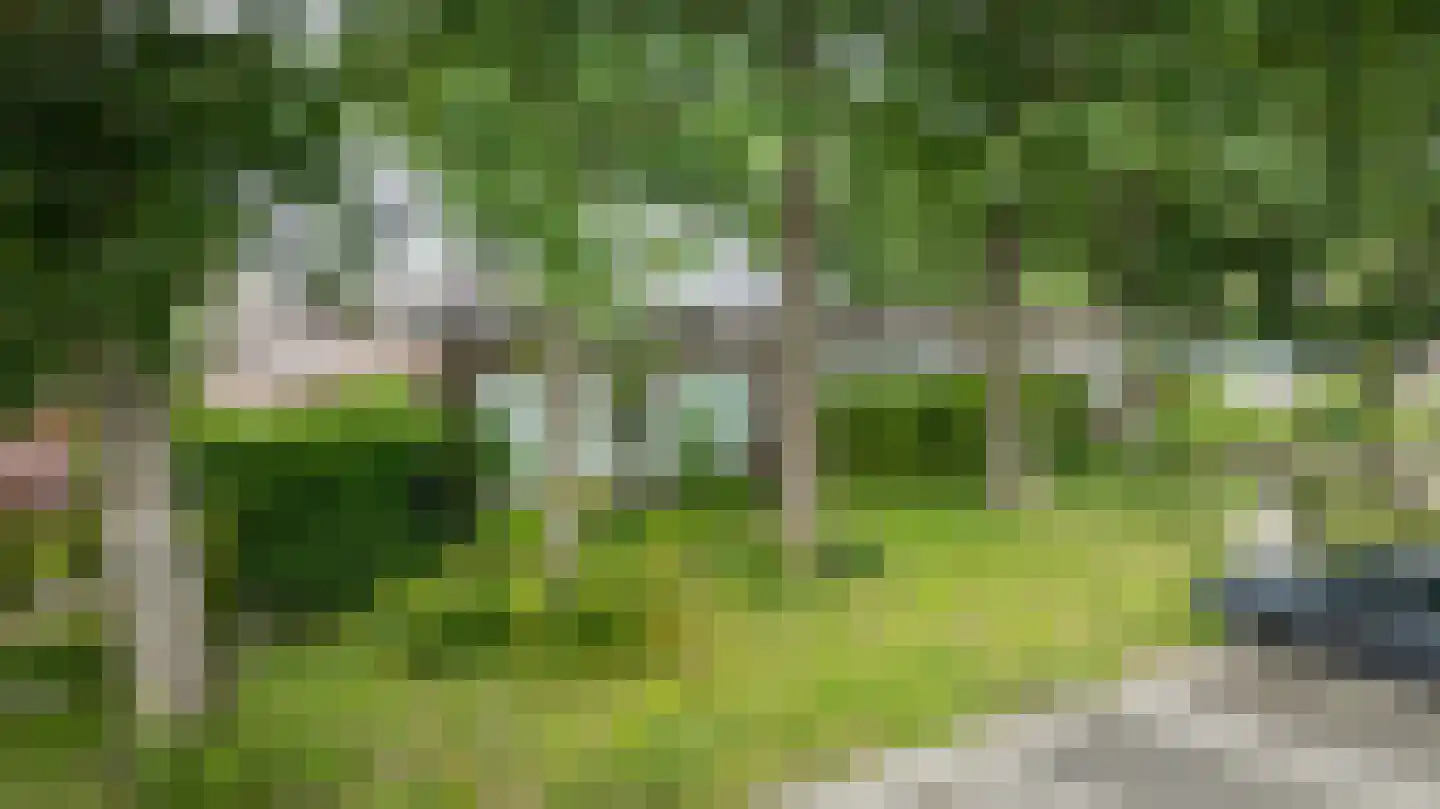 Ruinerweg 26 a Koekange thumbnail 59