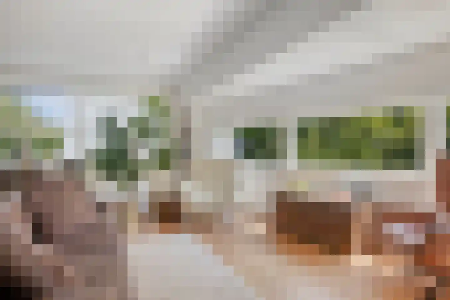 Ruinerweg 26 a Koekange thumbnail 6