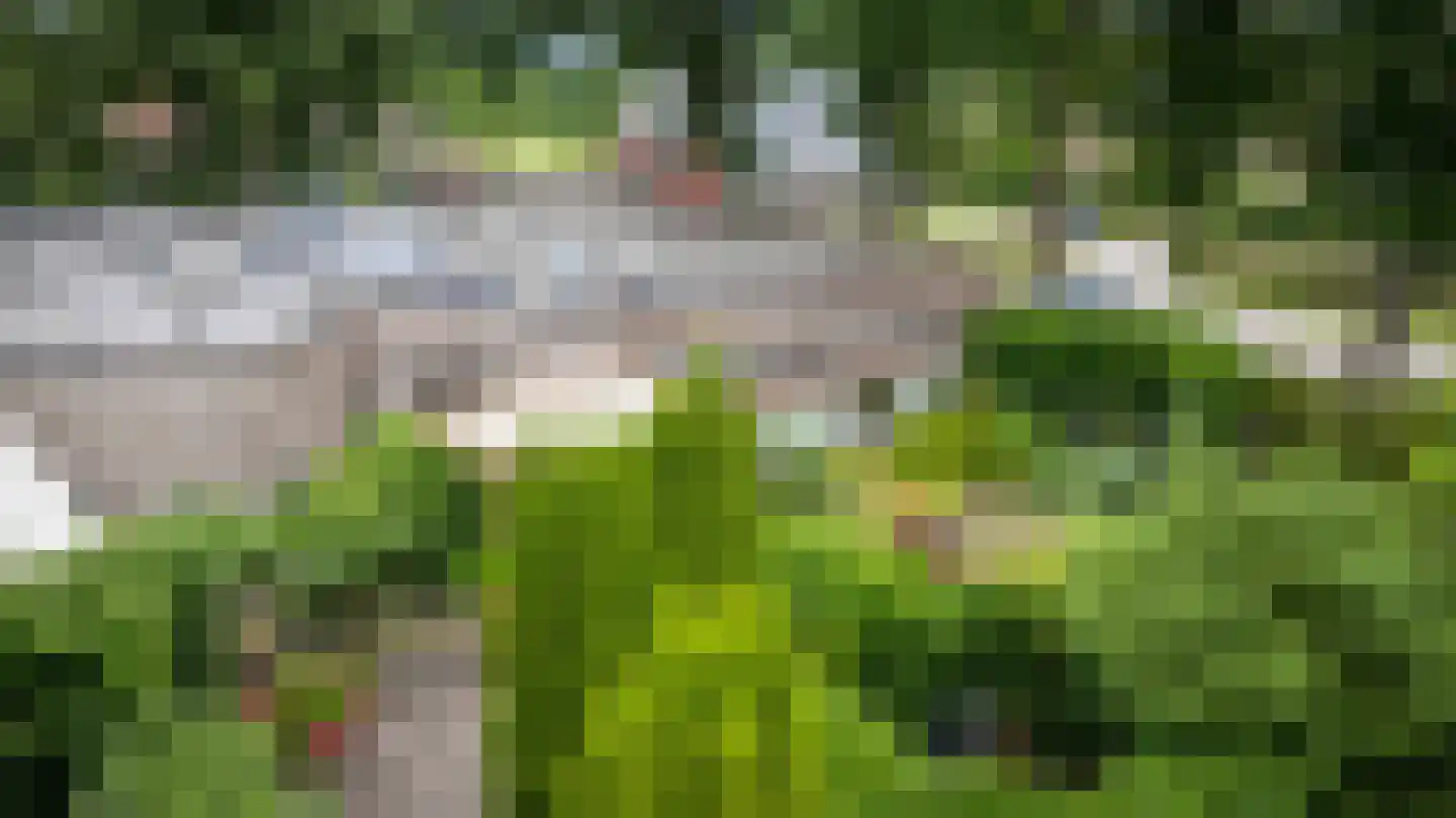 Ruinerweg 26 a Koekange thumbnail 60
