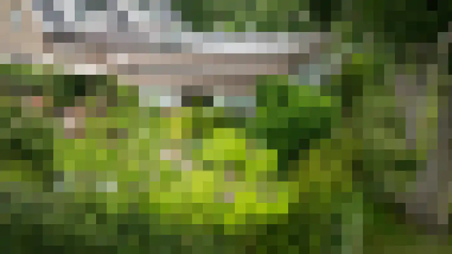 Ruinerweg 26 a Koekange thumbnail 61