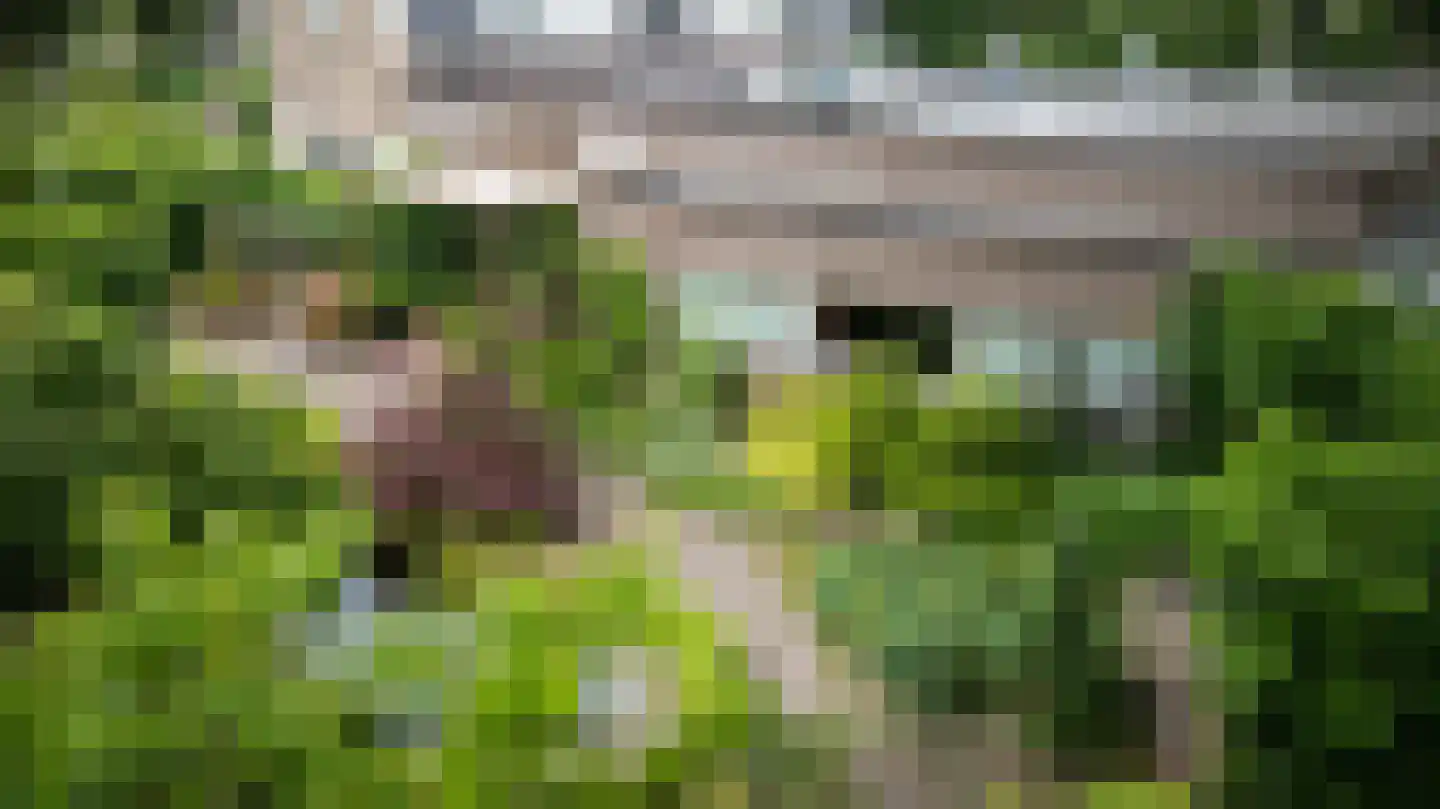 Ruinerweg 26 a Koekange thumbnail 62