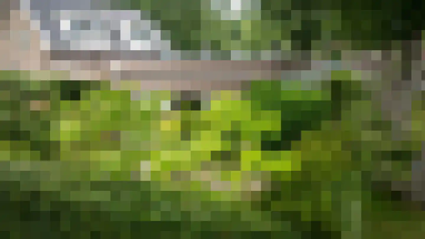 Ruinerweg 26 a Koekange thumbnail 63