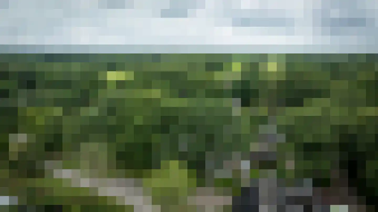 Ruinerweg 26 a Koekange thumbnail 66