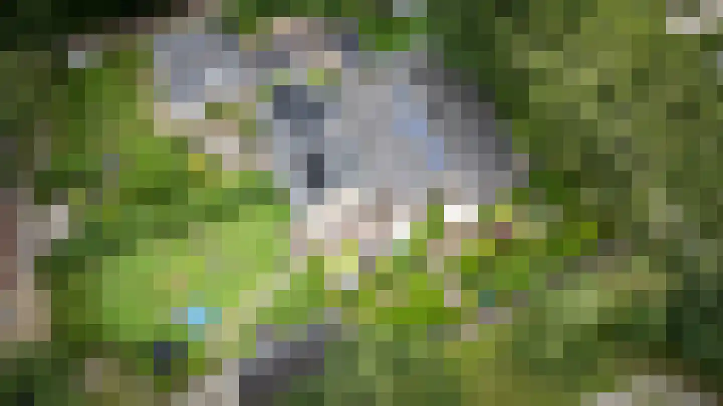Ruinerweg 26 a Koekange thumbnail 69