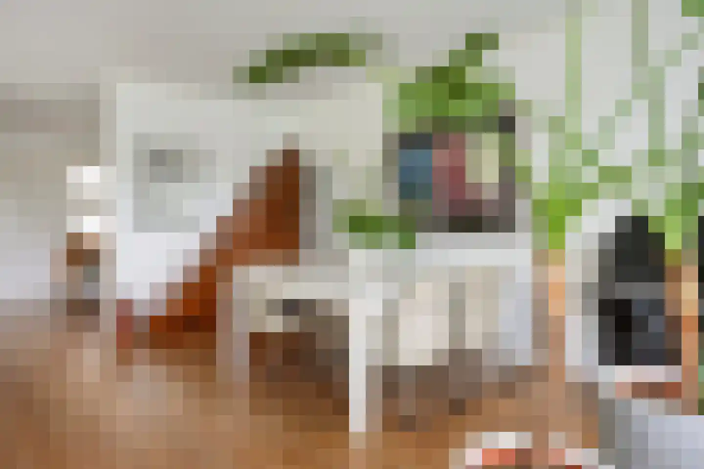 Ruinerweg 26 a Koekange thumbnail 7