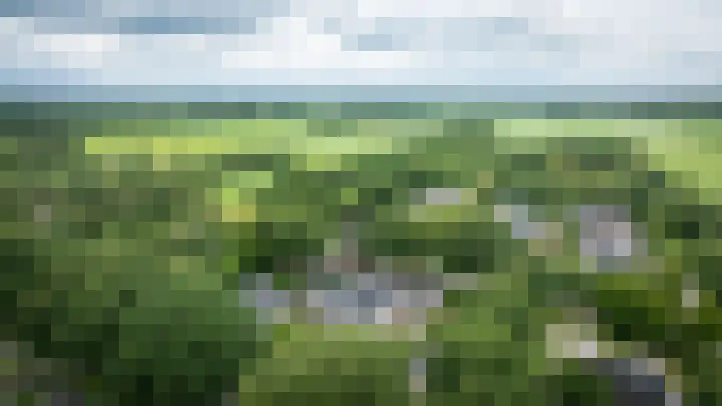 Ruinerweg 26 a Koekange thumbnail 71