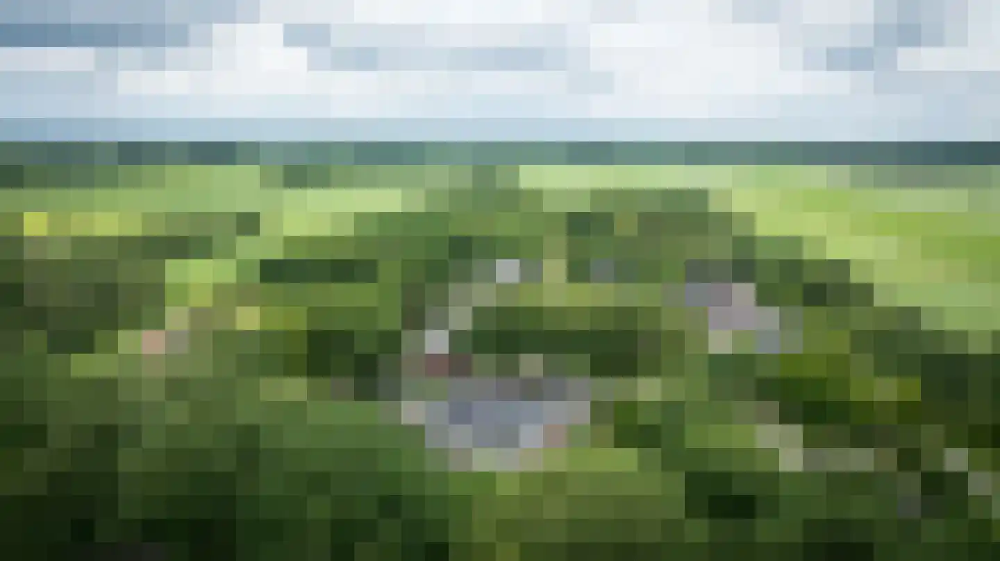 Ruinerweg 26 a Koekange thumbnail 72