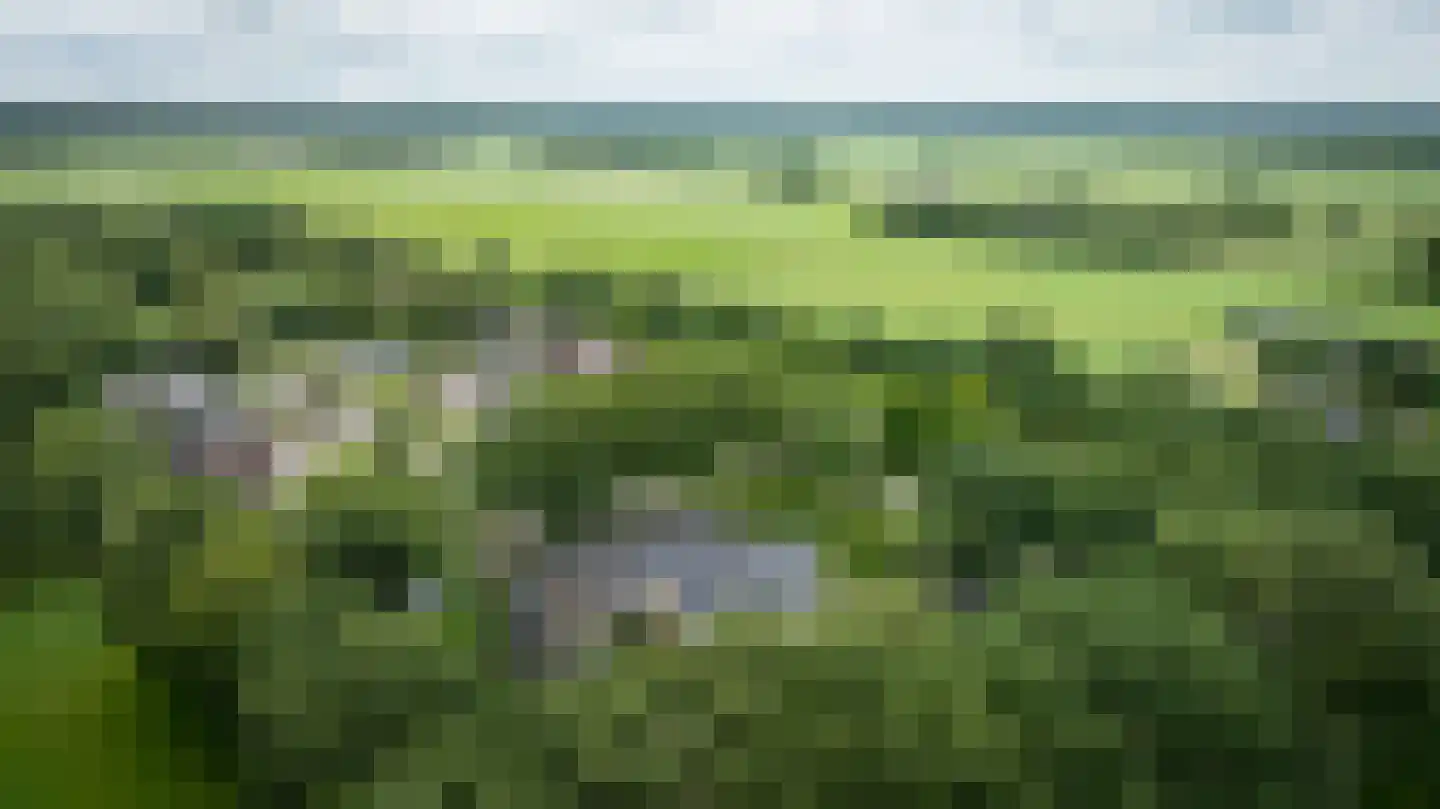 Ruinerweg 26 a Koekange thumbnail 73