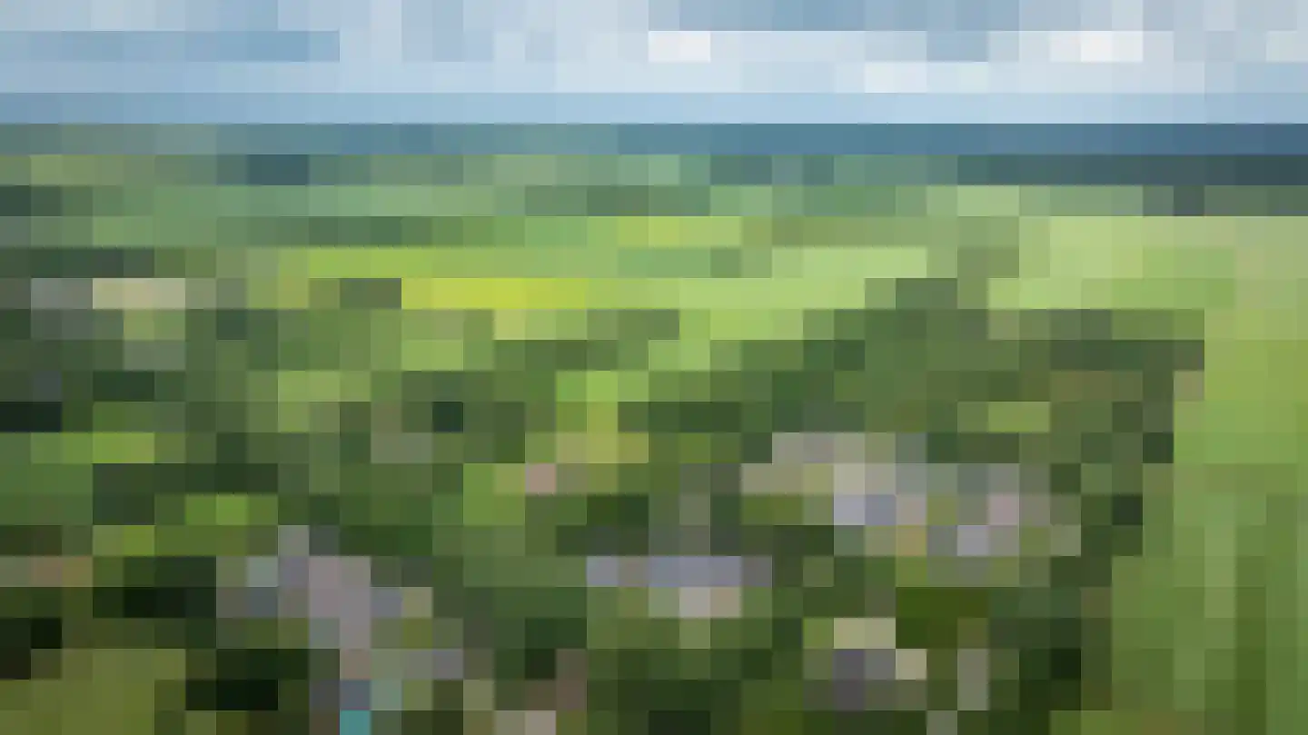 Ruinerweg 26 a Koekange thumbnail 75
