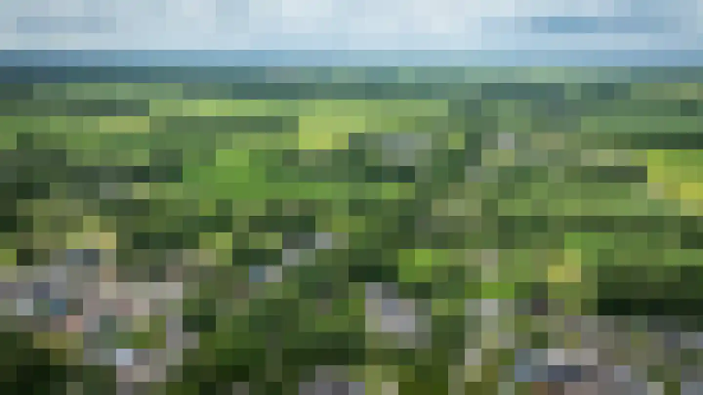 Ruinerweg 26 a Koekange thumbnail 76