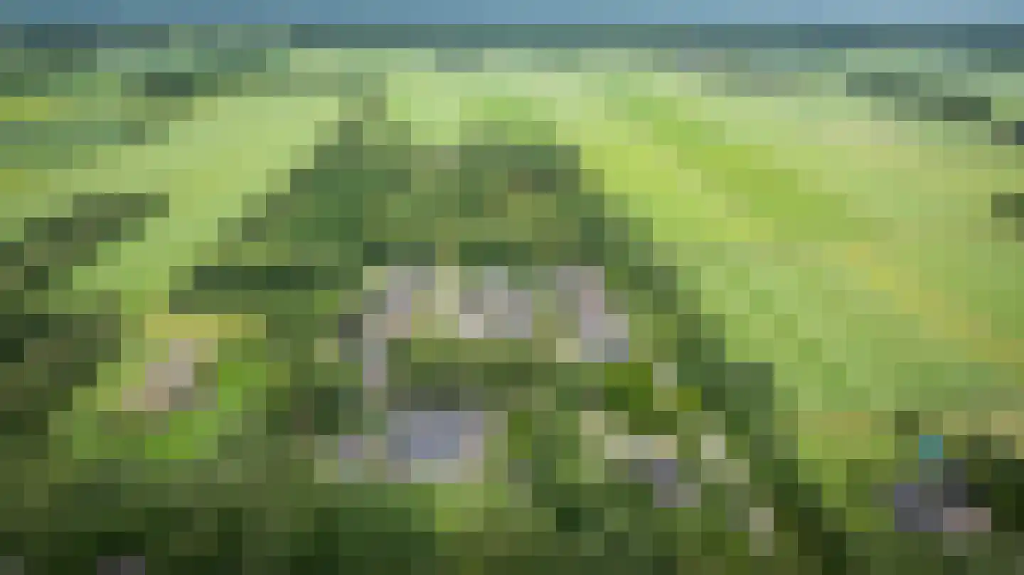 Ruinerweg 26 a Koekange thumbnail 78