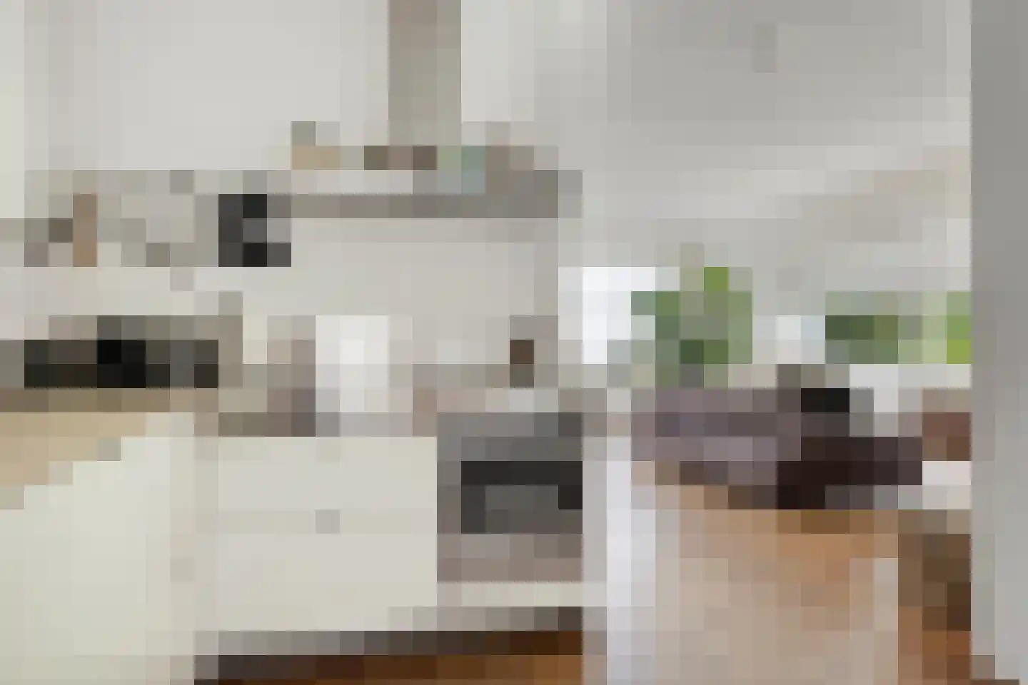 Ruinerweg 26 a Koekange thumbnail 9