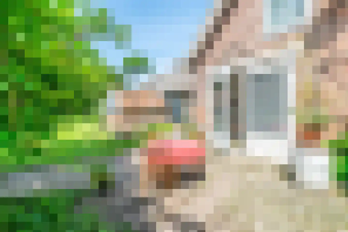 Ruinerweg 3 Echten thumbnail 11