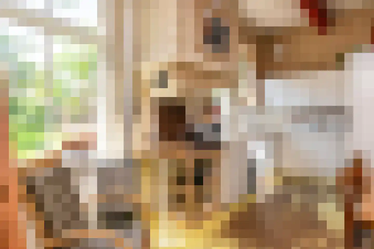 Ruinerweg 3 Echten thumbnail 19