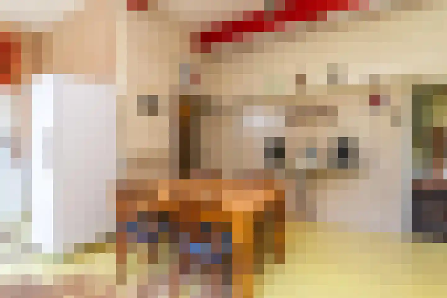 Ruinerweg 3 Echten thumbnail 21