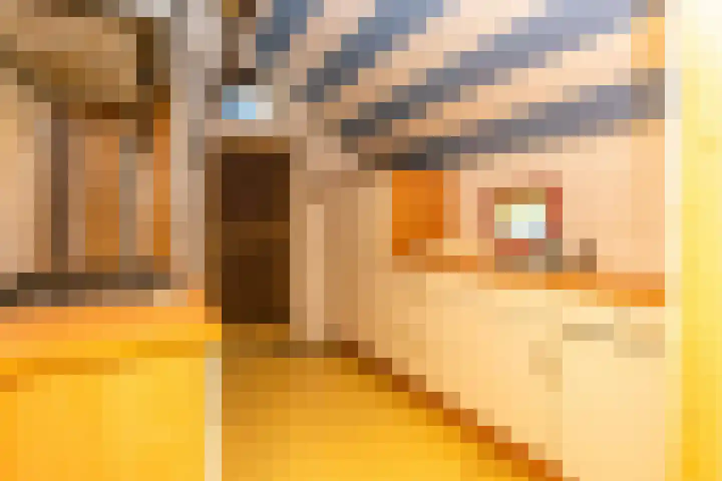 Ruinerweg 3 Echten thumbnail 29