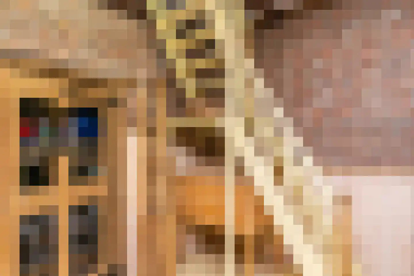 Ruinerweg 3 Echten thumbnail 30