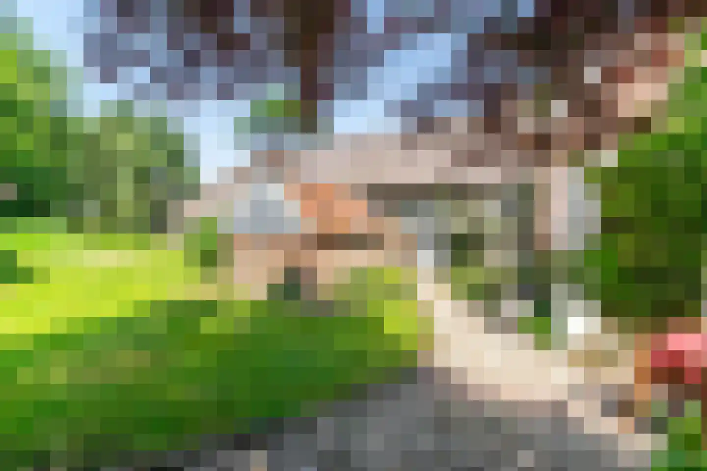 Ruinerweg 3 Echten thumbnail 31