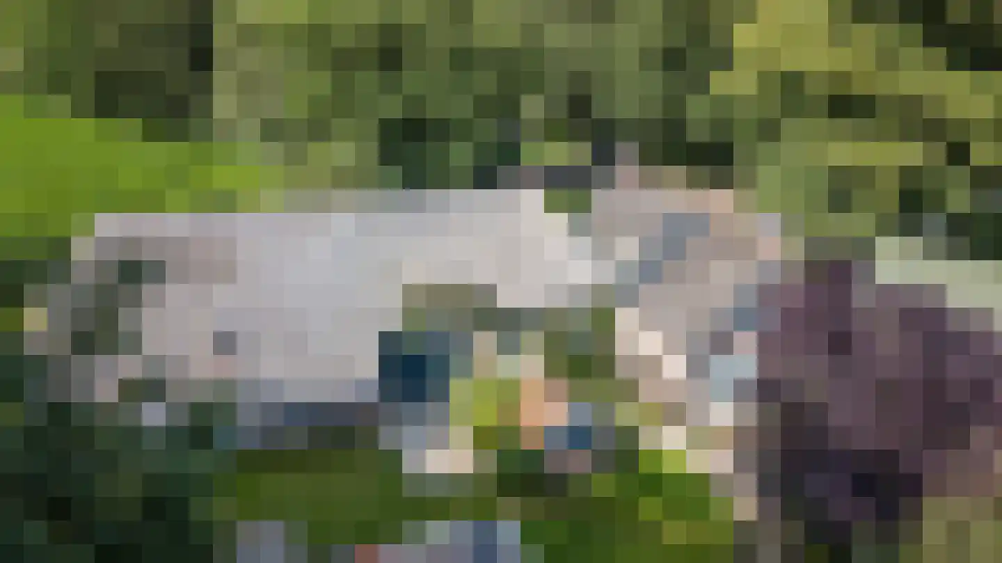 Ruinerweg 3 Echten thumbnail 32