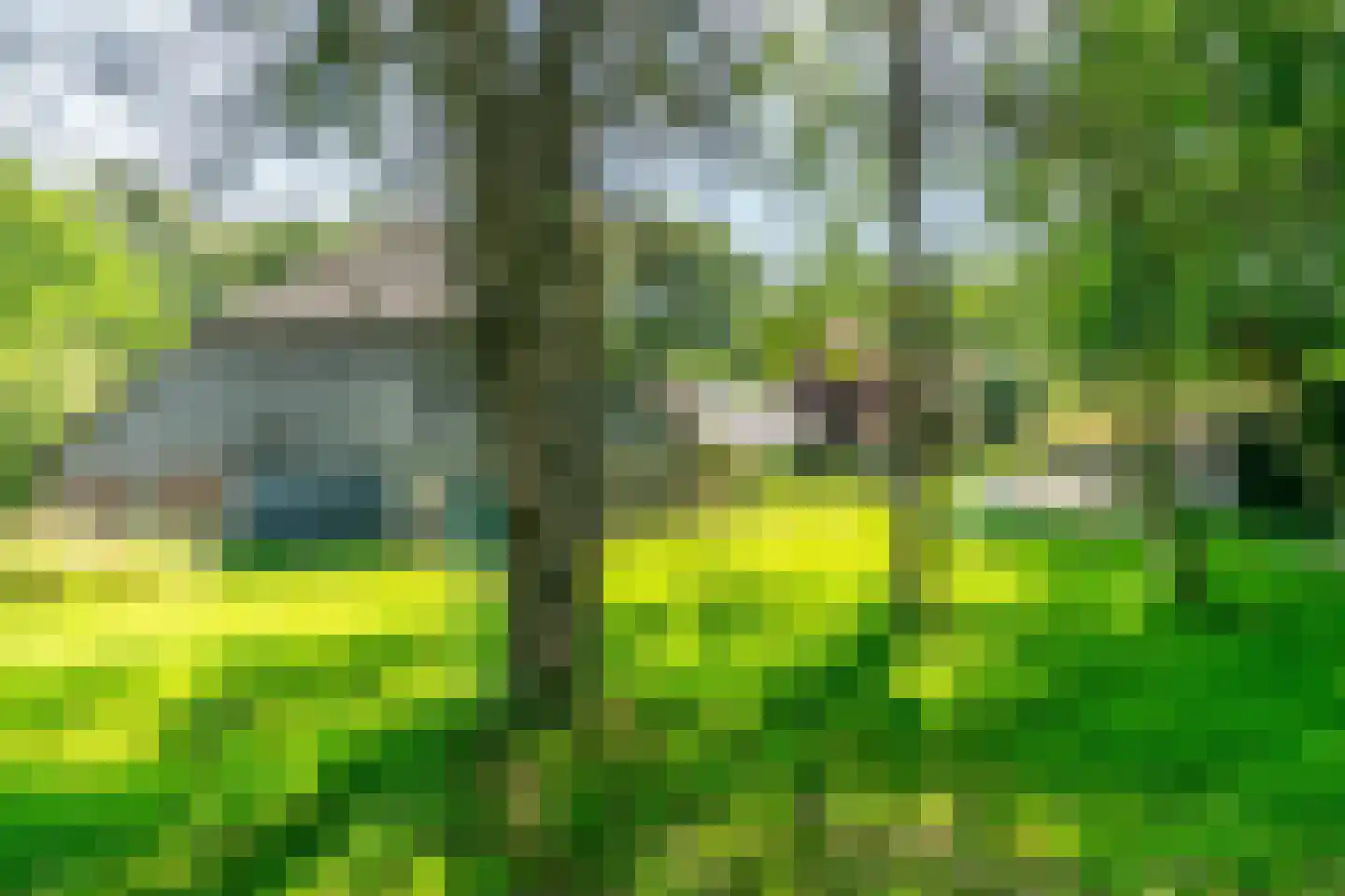 Ruinerweg 3 Echten thumbnail 34