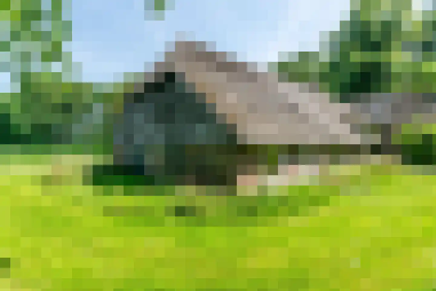 Ruinerweg 3 Echten thumbnail 35