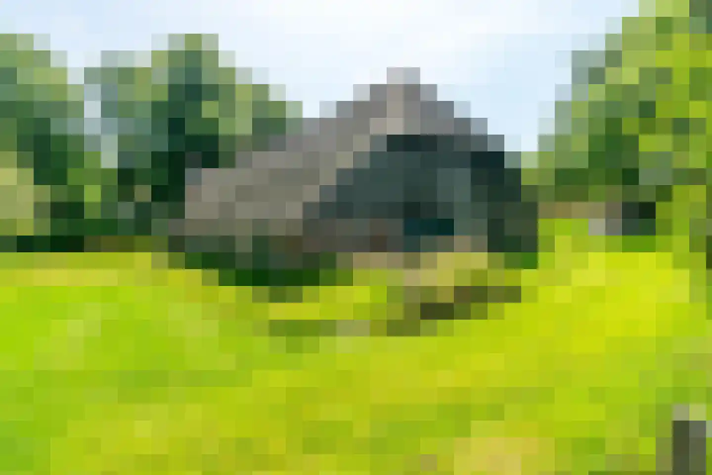 Ruinerweg 3 Echten thumbnail 36