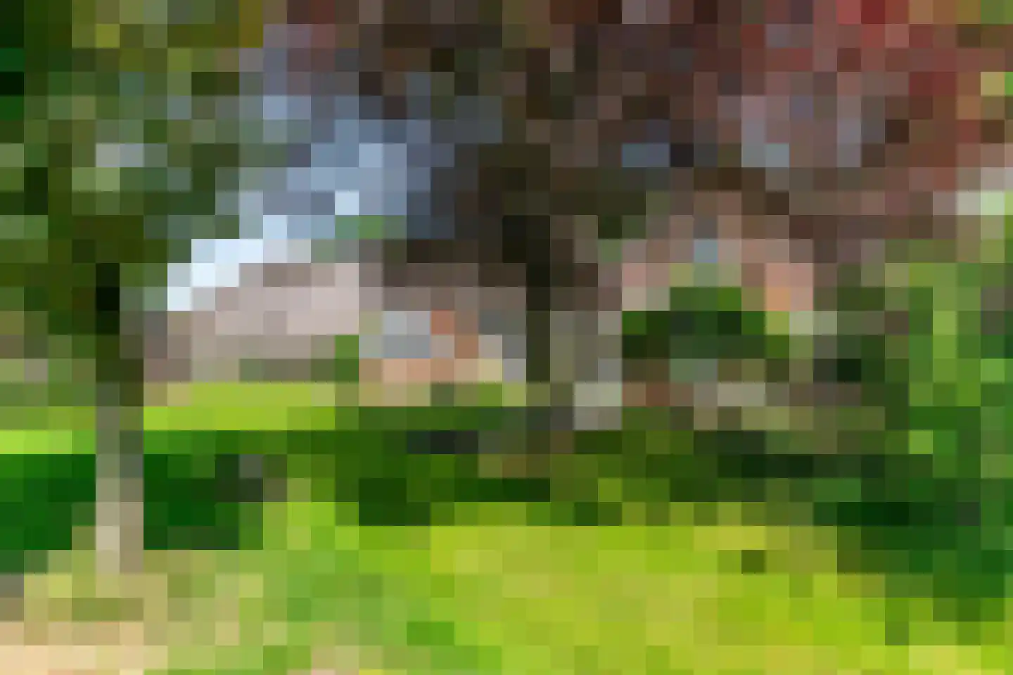 Ruinerweg 3 Echten thumbnail 4