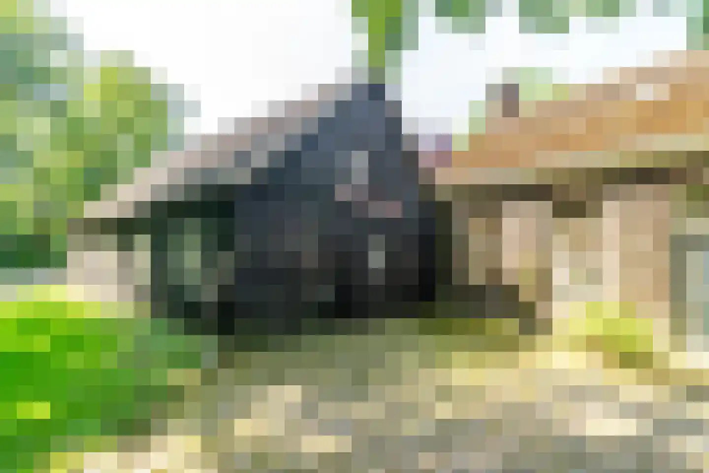 Ruinerweg 3 Echten thumbnail 44