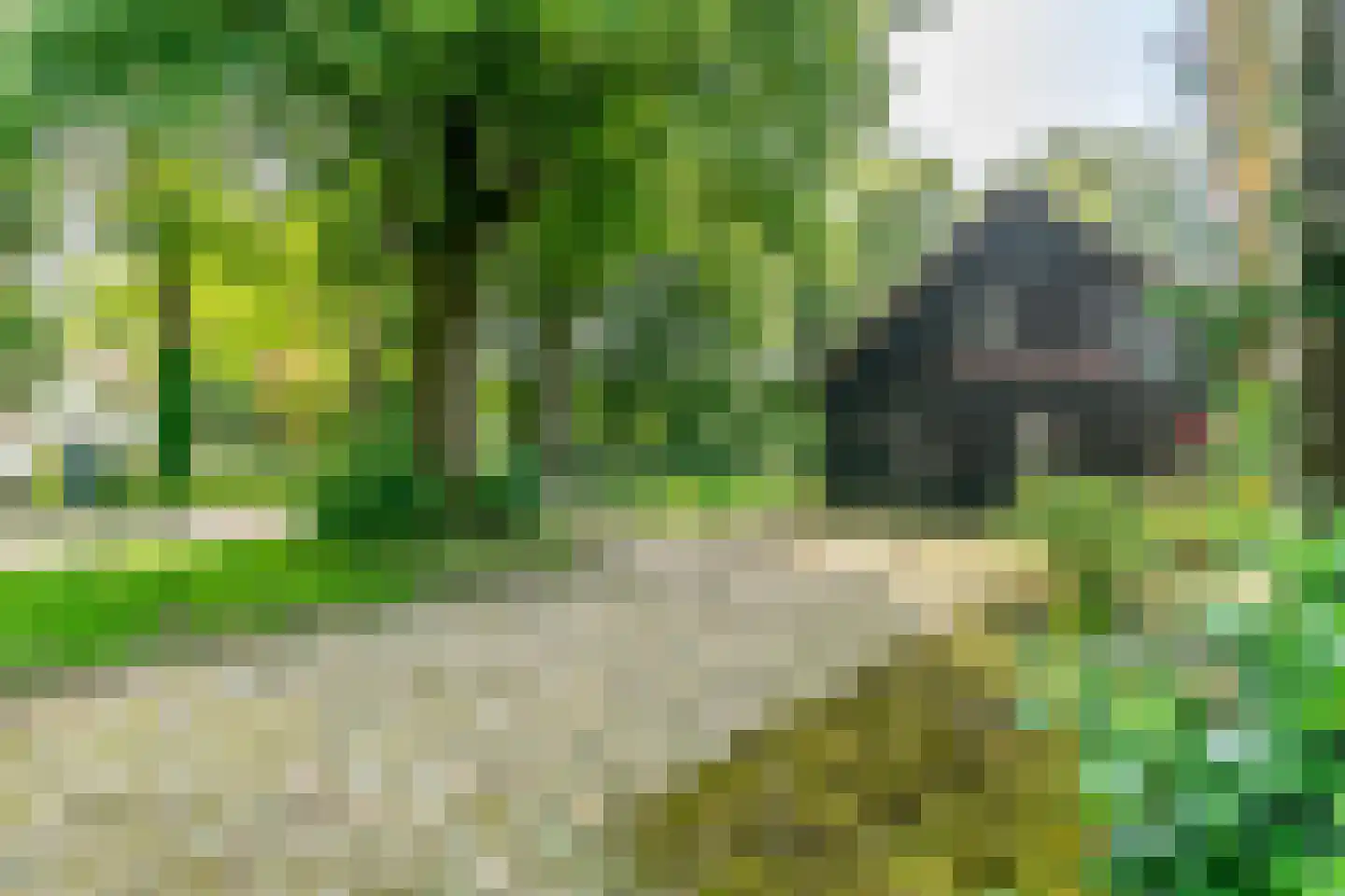 Ruinerweg 3 Echten thumbnail 45