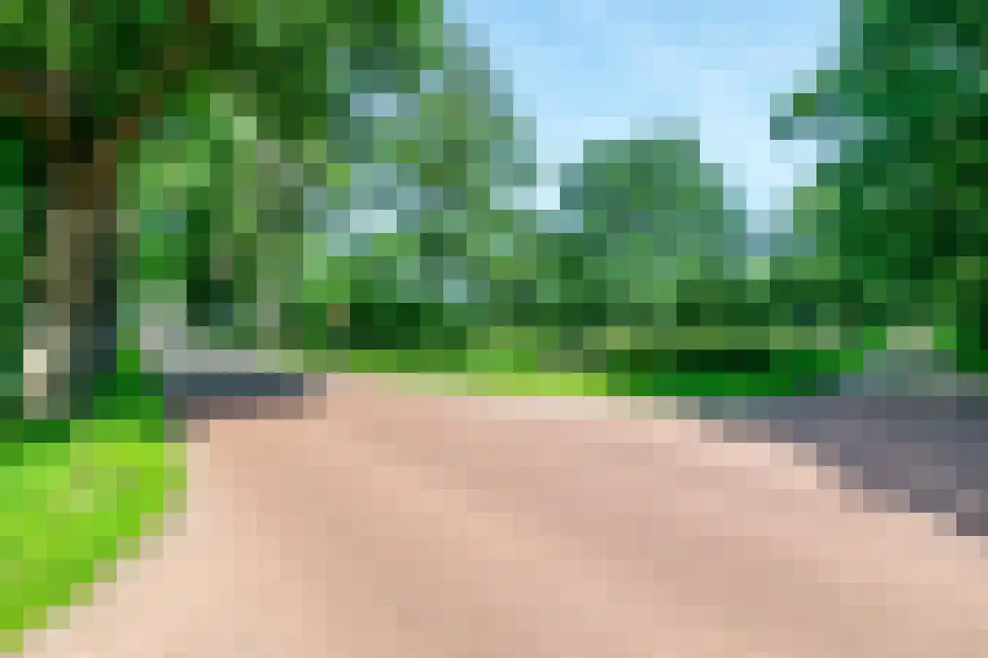 Ruinerweg 3 Echten thumbnail 47