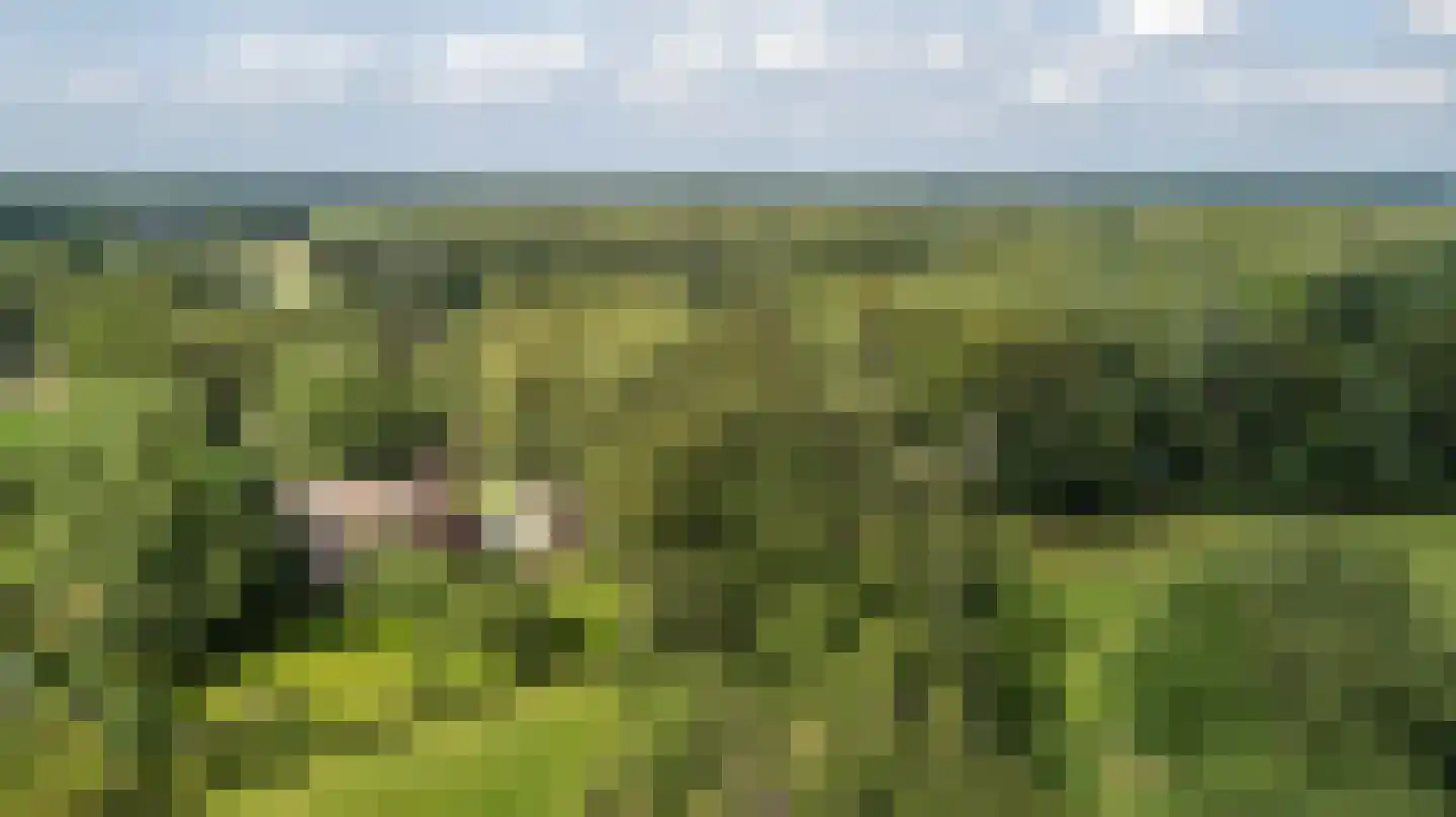 Ruinerweg 3 Echten thumbnail 49