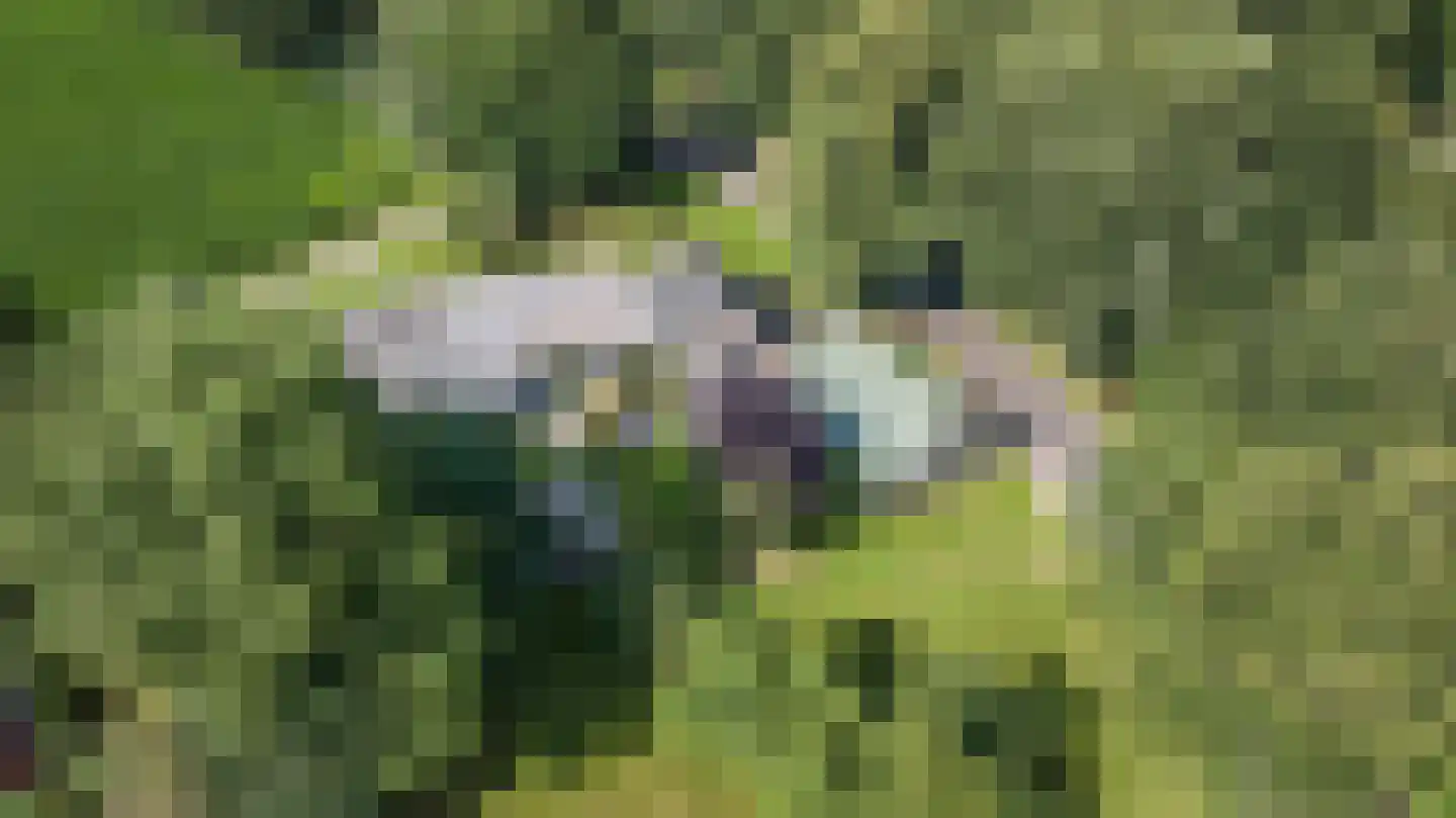 Ruinerweg 3 Echten thumbnail 5