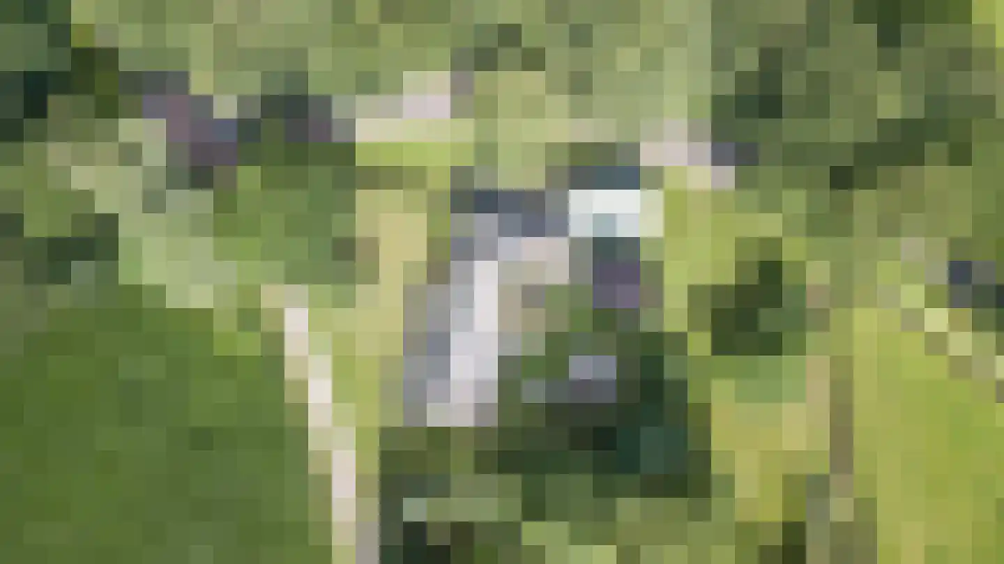 Ruinerweg 3 Echten thumbnail 6