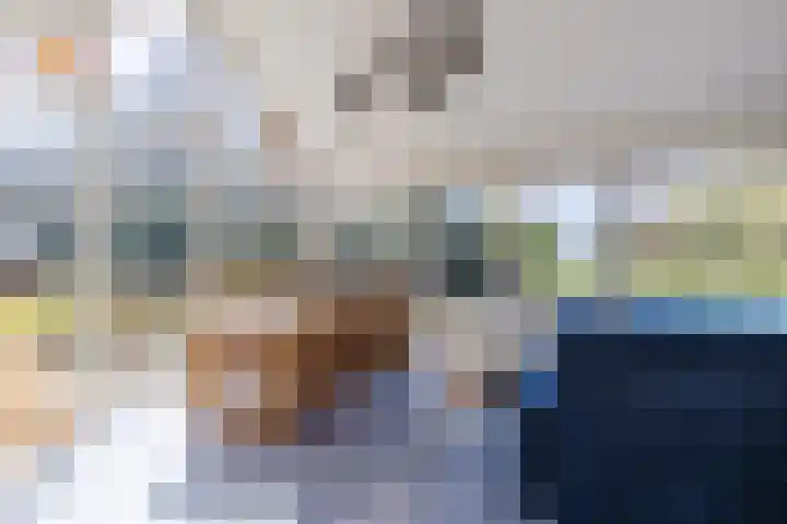 Ruinerweg 39 Koekange thumbnail 12