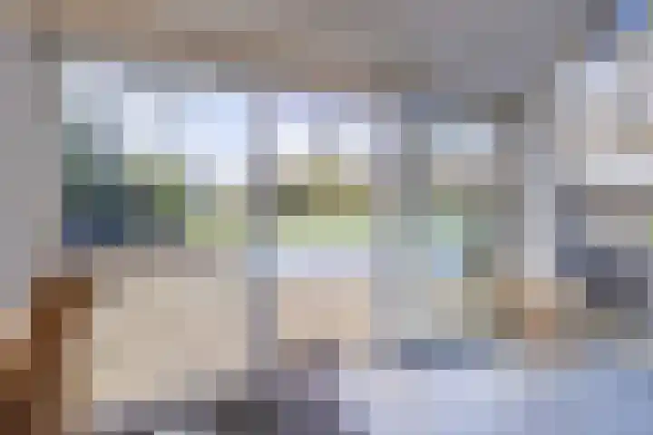 Ruinerweg 39 Koekange thumbnail 15