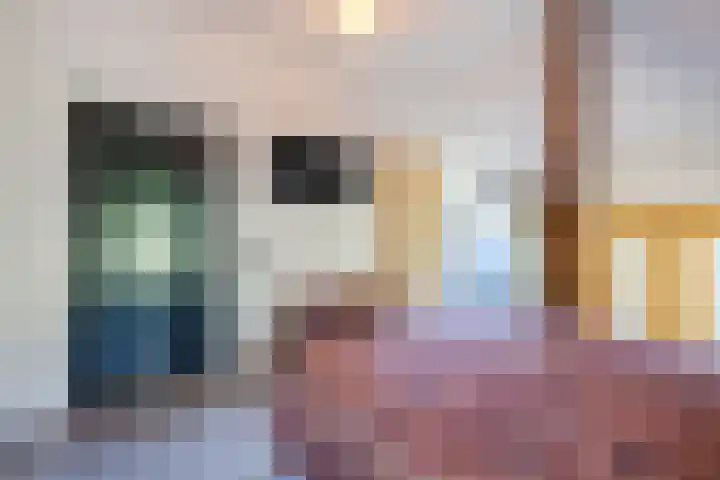 Ruinerweg 39 Koekange thumbnail 25