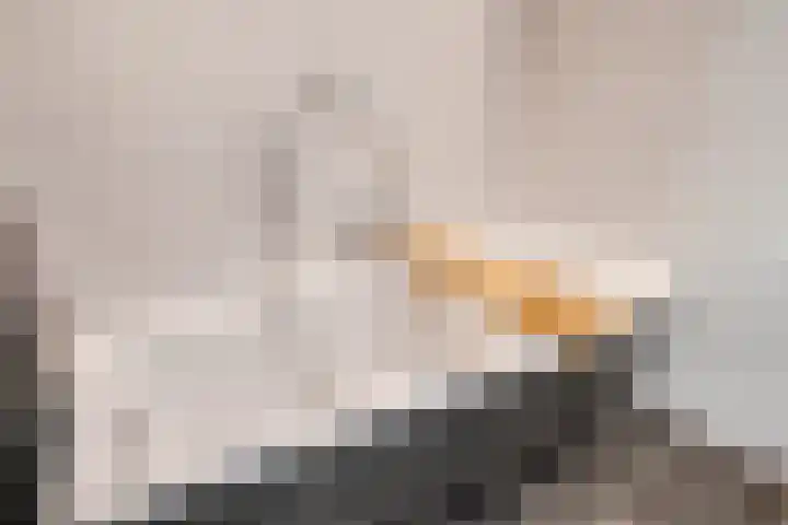 Ruinerweg 39 Koekange thumbnail 29