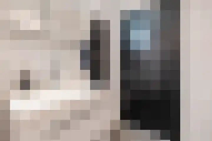 Ruinerweg 39 Koekange thumbnail 30