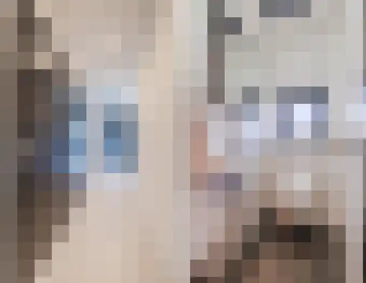 Ruinerweg 39 Koekange thumbnail 34