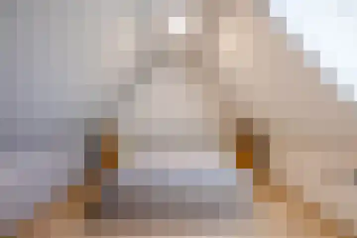 Ruinerweg 39 Koekange thumbnail 35