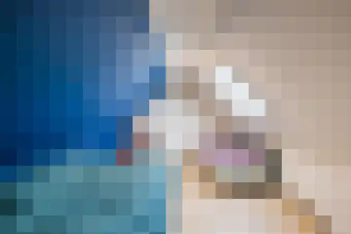 Ruinerweg 39 Koekange thumbnail 37