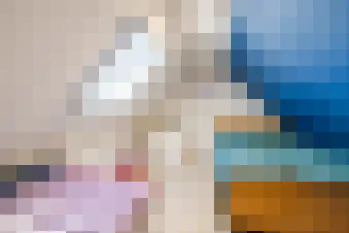 Ruinerweg 39 Koekange thumbnail 38