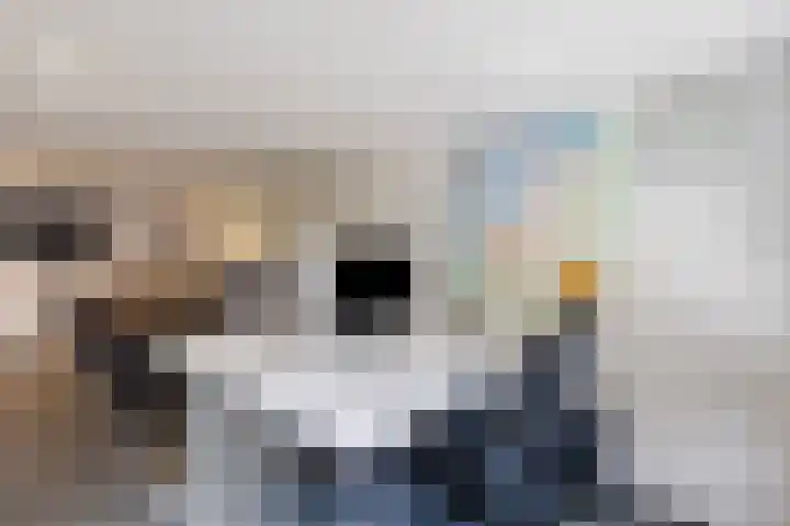 Ruinerweg 39 Koekange thumbnail 42