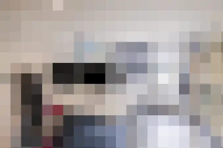 Ruinerweg 39 Koekange thumbnail 43