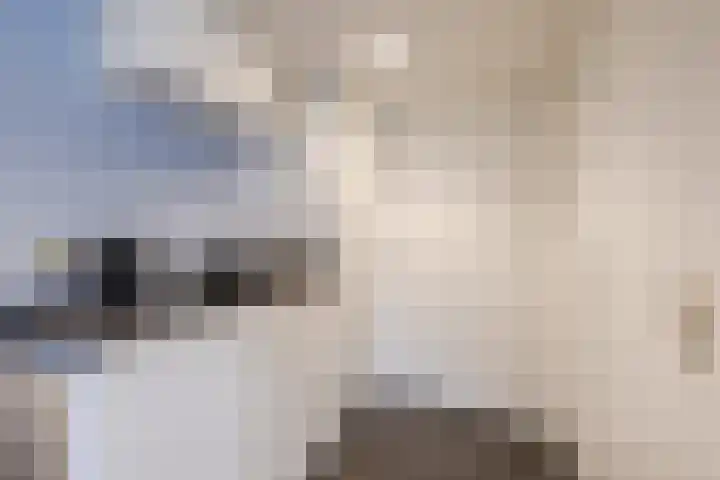 Ruinerweg 39 Koekange thumbnail 46
