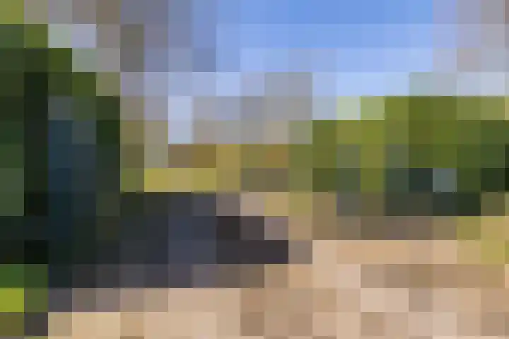 Ruinerweg 39 Koekange thumbnail 48
